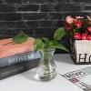 GANAZONO Small Clear Glass Hyacinth Vase 5.51X3.14In Hydroponic Flower Bulb Container Decorative Glass Vase for Home Office Table Centerpieces view 4