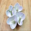 (Amazon.co.jp Exclusive) Flower Base Candle Holder Heart Centerpiece H 2.4 x W 4.9 x D 4.7 inches (6 x 12.5 x 12 cm), White 6 Pack view 4