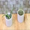 (Amazon.co.jp Exclusive) Flower Base Candle Holder, Pure Circle S, H 2.2 x Diameter 2.2 inches (5.5 cm) x Diameter 2.2 inches (5.5 cm), White 6 Pieces view 2