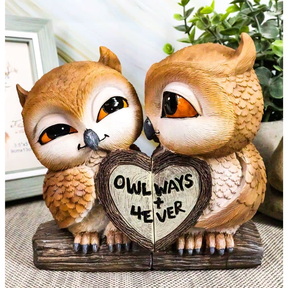 1 Pcs Valentines Kissing Love Owl Couple Decor Statue 2 Owls W/ Heart Sign