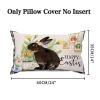 Black Plaid Cute Easter Rabbit with Flower Egg Lumbar Throw Pillow Covers 14x24 Canvas Pillow Case Easter Bunny Cushion Covers Farmhouse for Couch for Kids Women Girls view 2