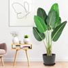 Alkmaar 48" Artificial Tree Bird of Paradise Artificial PlantFaux Plant for Home Decor Indoor Outdoor Office (48 inch-2 Pack) view 2
