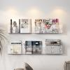 QQXX Transparent Acrylic Floating Shelves 2 Packs,Clear Acrylic Brochure Holder Magazine Rack,Wall Mount Bookshelf Bathroom Floating Shelves Organizer for Office Waiting Room Home Display view 2
