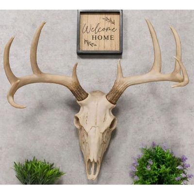 1 Pcs Large Buck Head Wall Mount Deer Antler Rack Bust Hunting Cabin Or Lodge