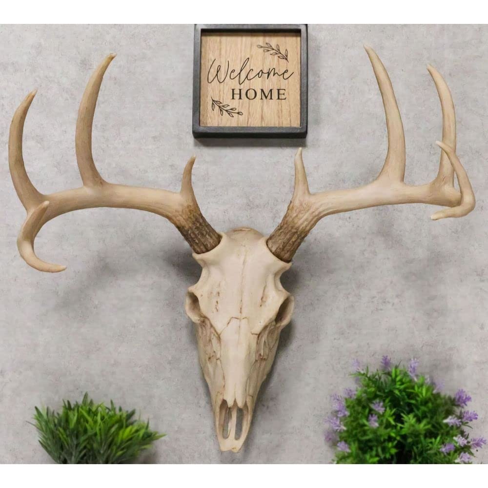1 Pcs Large Buck Head Wall Mount Deer Antler Rack Bust Hunting Cabin Or Lodge