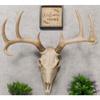 1 Pcs Large Buck Head Wall Mount Deer Antler Rack Bust Hunting Cabin Or Lodge view 1