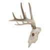 1 Pcs Large Buck Head Wall Mount Deer Antler Rack Bust Hunting Cabin Or Lodge view 2