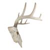 1 Pcs Large Buck Head Wall Mount Deer Antler Rack Bust Hunting Cabin Or Lodge view 3