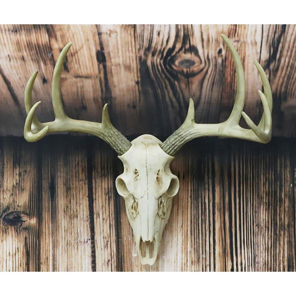 1 Pcs Rustic Hunter Rack Deer Antler Wall Plaque Decor 10 Point Buck Figurine