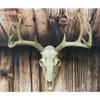 1 Pcs Rustic Hunter Rack Deer Antler Wall Plaque Decor 10 Point Buck Figurine view 1