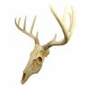1 Pcs Rustic Hunter Rack Deer Antler Wall Plaque Decor 10 Point Buck Figurine view 4