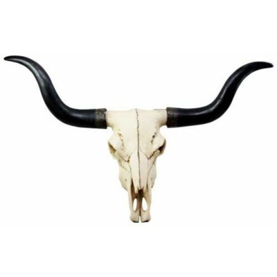 1 Pcs Large 27" W Longhorn Cow Wall Hanging Sculpture Plaque Wild Bull Steer Art