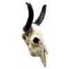 1 Pcs Large 27" W Longhorn Cow Wall Hanging Sculpture Plaque Wild Bull Steer Art view 3