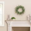24" Artificial Eucalyptus Spring Wreath with Green Leaves view 3