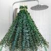 40 Pcs Dried Preserved Eucalyptus Shower Bundle,17" Natural Fresh Hanging Eucalyptus Leaves Stems Real Plant , Vase Filler Home, Wedding Decor view 1