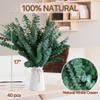 40 Pcs Dried Preserved Eucalyptus Shower Bundle,17" Natural Fresh Hanging Eucalyptus Leaves Stems Real Plant , Vase Filler Home, Wedding Decor view 2