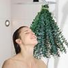40 Pcs Dried Preserved Eucalyptus Shower Bundle,17" Natural Fresh Hanging Eucalyptus Leaves Stems Real Plant , Vase Filler Home, Wedding Decor view 3