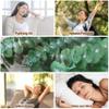 40 Pcs Dried Preserved Eucalyptus Shower Bundle,17" Natural Fresh Hanging Eucalyptus Leaves Stems Real Plant , Vase Filler Home, Wedding Decor view 4