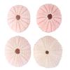 NOLITOY 4pcs Seashells Bonsai Tray Craft Large Sea Shells Sea Urchin Air Plant Holder Tree Shallow Pots for Plants Hanging Pot Holder Pink Containers Miniature Seaside Fish Tank view 1