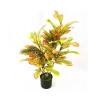 Simulation Potted Plants Bonsai Tree Artificial Tree Height 35 Inch, Faux Bonsai Laurel Tree, Suitable for Home Office Decoration Indoor Faux Plants Fake Plant Greenery Decor for Desk view 1