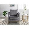 Carolina Classic Adadon 33 in Wide Velvet Upholstered Arm Chair in Gray view 3