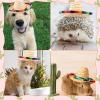 Zhanmai 25 Pack Mini Sombrero Hats Mexican Party Decor Kids Pet, 9 Inch view 4