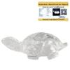 Crystal Heaven Sphatik Tortoise Original Certified Idol - AAA Grade Sphatik Healing Clear Quartz Crystal for Mediation Pooja (10-20 Gram), Idol view 1
