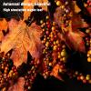 DYPASA Welcome Wreath Christmas Wreath Rattan Weave Berry Maple Leaf Wreath 45CM Door Hanging Wall Decor Thanksgiving VineRing Hotel Home Decoration Artificial Eucalyptus Wreath view 4