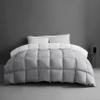 1-Piece Microfiber Comforter Oversized King Plus (120" X 120") - Super Soft 500GSM Lightweight 6 Corner Ties Premium Quality Down Alternative Winter Comforter (120" X 120")- Colour-Light Grey/White view 2