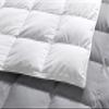 1-Piece Microfiber Comforter Oversized King Plus (120" X 120") - Super Soft 500GSM Lightweight 6 Corner Ties Premium Quality Down Alternative Winter Comforter (120" X 120")- Colour-Light Grey/White view 4