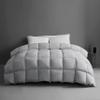1-Piece Microfiber Comforter Super Oversized King (120" X 128") - Super Soft 500GSM Lightweight 6 Corner Ties Premium Quality Down Alternative Winter Comforter (120" X 128")- Colour-Light Grey view 1