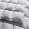 1-Piece Microfiber Comforter Super Oversized King (120" X 128") - Super Soft 500GSM Lightweight 6 Corner Ties Premium Quality Down Alternative Winter Comforter (120" X 128")- Colour-Light Grey view 3