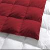 1-Piece Microfiber Comforter Super Oversized King (120" X 128") - Super Soft 500GSM Lightweight 6 Corner Ties Premium Quality Down Alternative Winter Comforter (120" X 128")- Colour-White/Burgundy view 4