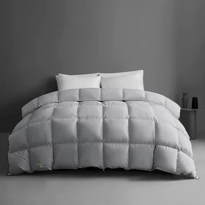 1-Piece Microfiber Comforter Oversized King Plus (120" X 120") - Super Soft 500GSM Lightweight 6 Corner Ties Premium Quality Down Alternative Winter Comforter (120" X 120")- Colour-Light Grey