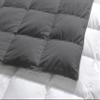 1-Piece Microfiber Comforter Oversized King Plus (120" X 120") - Super Soft 500GSM Lightweight 6 Corner Ties Premium Quality Down Alternative Winter Comforter (120" X 120")- Colour-White/Dark Grey view 4