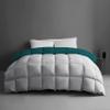 1-Piece Microfiber Comforter Super Oversized King (120" X 128") - Super Soft 500GSM Lightweight 6 Corner Ties Premium Quality Down Alternative Winter Comforter (120" X 128")- Colour-Light Grey/Teal view 2
