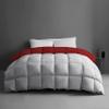 1-Piece Microfiber Comforter Super Oversized King (120" X 128") - Super Soft 500GSM Lightweight 6 Corner Ties Premium Quality Down Alternative Winter Comforter (120" X 128") Colour-Light Grey/Burgundy view 2