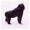 ALDEPO Sculpture Tabletop Office Living Room Decoration Sculptures Statue Figurine Simulation Gorilla Decoration Crafts Animal Model view 4