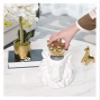 ALDEPO Sculpture Tabletop Decor Lion Bust Statue, Lion Head Forest King Crown Lion Ceramic Jar Crafts view 4