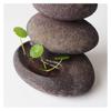 Incense Burner Incense Burner Incense Backflow Incense Burner with 10pcs Incense Cones Backflow Incense Burner Small Incense Holder Incense Holders view 4