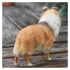 ALDEPO Sculpture Tabletop Figurine for Holiday Living Room Bedroom Home Decoration Statue Sculptures Shetland Sheepdog Simulation Dog Model Car Decoration Crafts Scottish Su Mu view 3