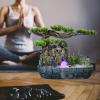 FOGLO Resin Tabletop Waterfall Fountain,Indoor LED Waterfall Fountain Tabletop Rockery Fountain with Aquariums, Plant, Atomizing Humidifier, for Office Home Bedroom Desk Dcoration Home Office Gifts view 2