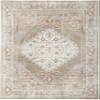 Nourison Home Astra Machine Washable Traditional Sage Multi 4' x 6' Area Rug, Easy Cleaning, Non Shedding, Bed Room, Living Room, Dining Room, Kitchen (4x6) view 4