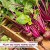 Dried Chopped Beets by Its Delish, 5 lbs Bulk Bag | Gourmet Dehydrated Raw Beet Root Vegetables | Cooking, Camping, Emergency Food Supply | All Natural, No Sugar or Color Added | Vegan, Kosher view 3
