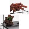 Artificial Trees Artificial Bonsai Tree New Chinese-Style Red Simulation Welcome Pine Bonsai Tree Indoor Living Room Desktop Decor Simulation Plant Simulated Pine view 3