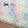 HUHJYUGE Fluffy Area Rugs Carpets 2.0x3.0ft, Rugs for Living Room Bedroom, Modern Indoor Plush Rug Absorbent Non Shedding, for Girls Kids Room Teen's Dorm Home Decor, Non-Slip Carpet view 3