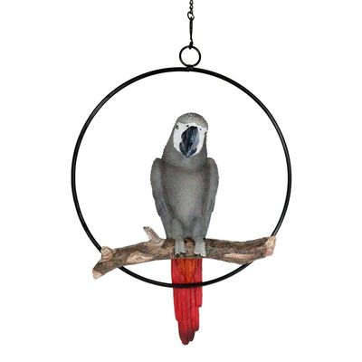 1 Pcs of Hanging Congo African Grey Parrot Perching On Branch with Metal Ring 13.5" H