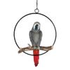 1 Pcs of Hanging Congo African Grey Parrot Perching On Branch with Metal Ring 13.5" H view 1