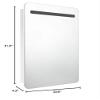 CHARMMA LED Bathroom Mirror Cabinet Shining White 23.6"x4.3"x31.5"-748 view 2