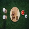 PICNIC TIME NCAA Wisconsin Badgers Home Run! Baseball Cheese Board, Novelty Charcuterie Board, Serving Platter, Cheese Boards Charcuterie Boards, Wood Cutting Board, (Bamboo) view 2